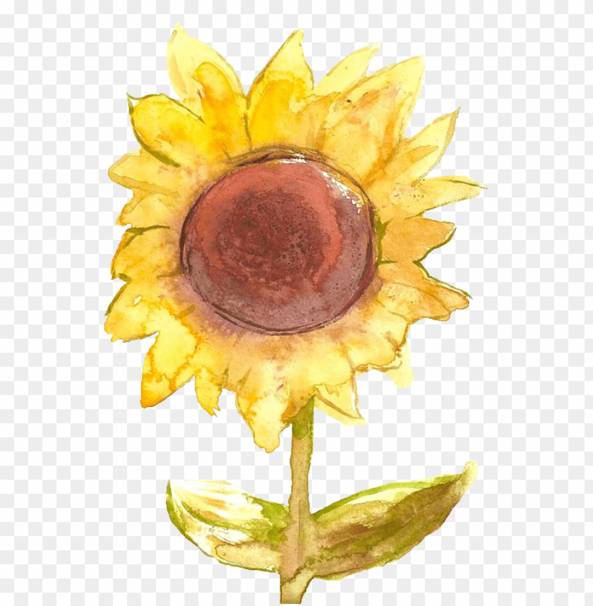 sunflower png tumblr, tumblr,png,sunflower