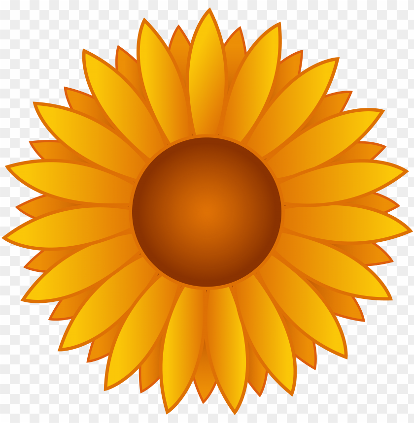 sunflower png vector, sunflower,png,vector