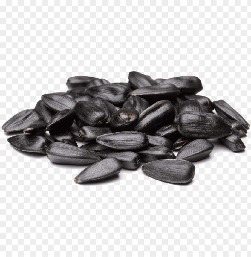 sunflower seed png, seed,sunflower,png,sunflowerseed