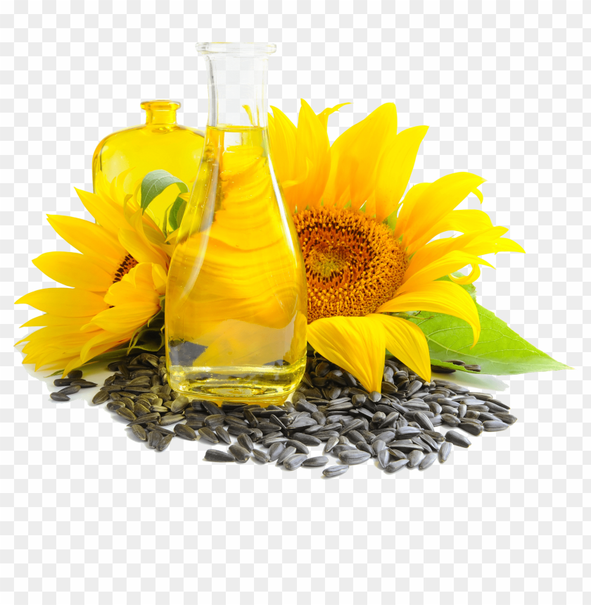 sunflower seed png, seed,sunflower,png,sunflowerseed