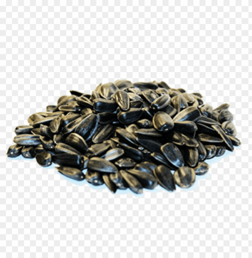 
sunflower seeds
, 
helianthus annuus
, 
linoleic
, 
sunflower oil
