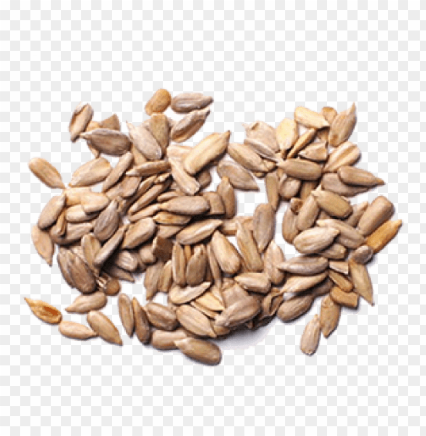 
sunflower seeds
, 
helianthus annuus
, 
linoleic
, 
sunflower oil
