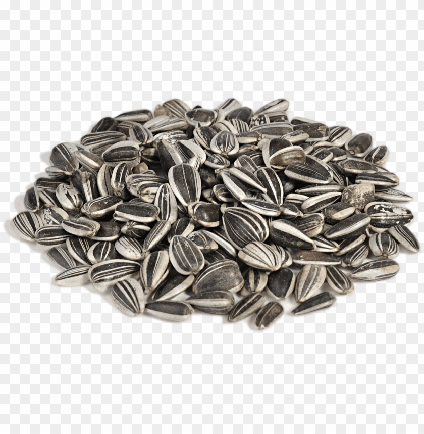 
sunflower seeds
, 
helianthus annuus
, 
linoleic
, 
sunflower oil
