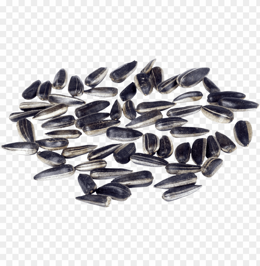 
sunflower seeds
, 
helianthus annuus
, 
linoleic
, 
sunflower oil
