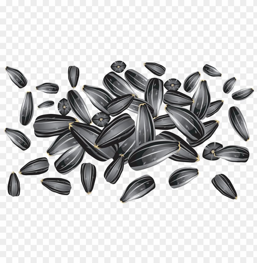 
sunflower seeds
, 
helianthus annuus
, 
linoleic
, 
sunflower oil
