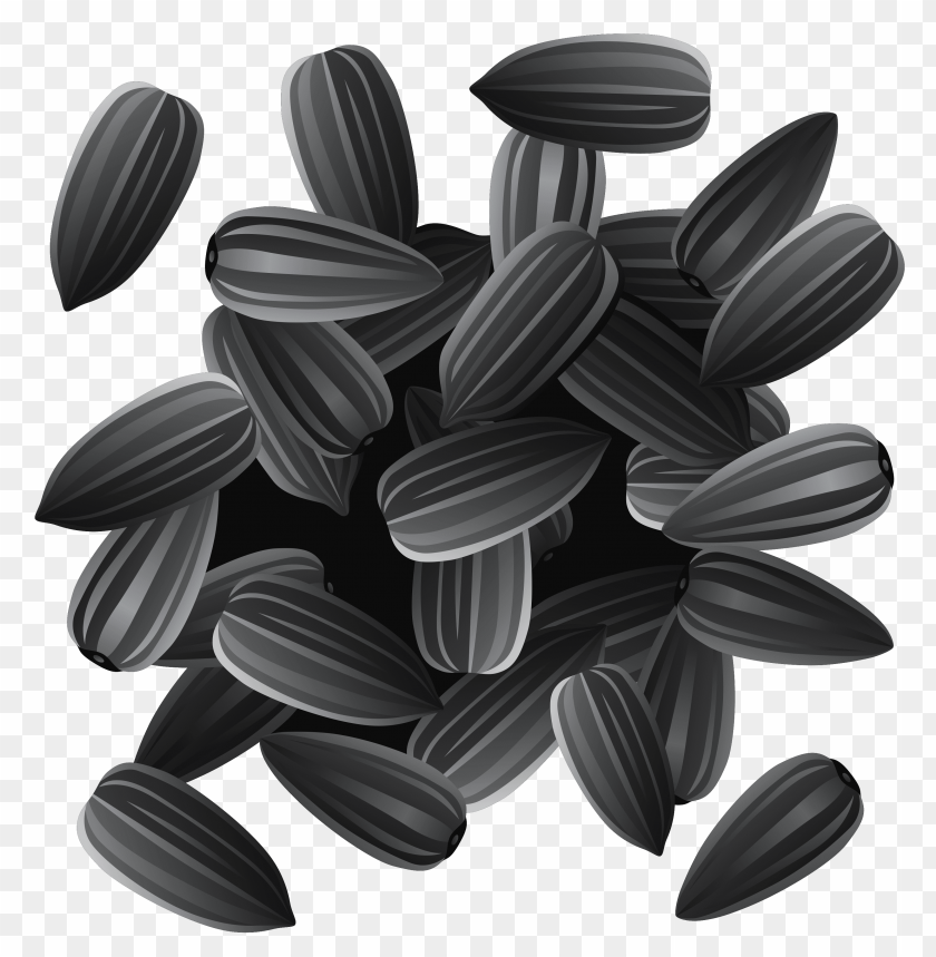 
sunflower seeds
, 
helianthus annuus
, 
linoleic
, 
sunflower oil
