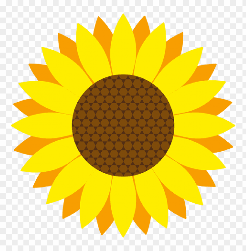 sunflower vector png, vector,png,sunflower