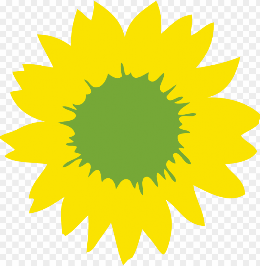 sunflower, seeds, yellow flower, green center, plant, nature, edible snacks