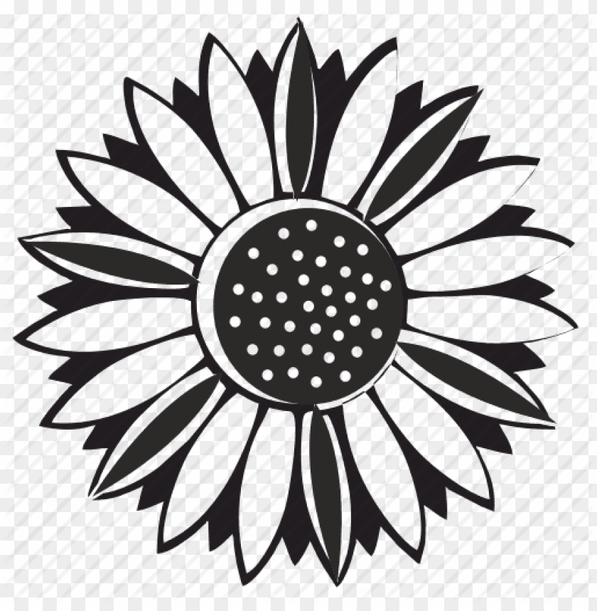 sunflower vector png, vector,png,sunflower