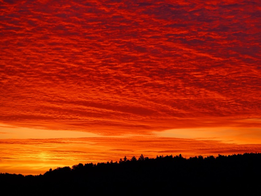 sunset, clouds, fiery, forest, twilight, bright