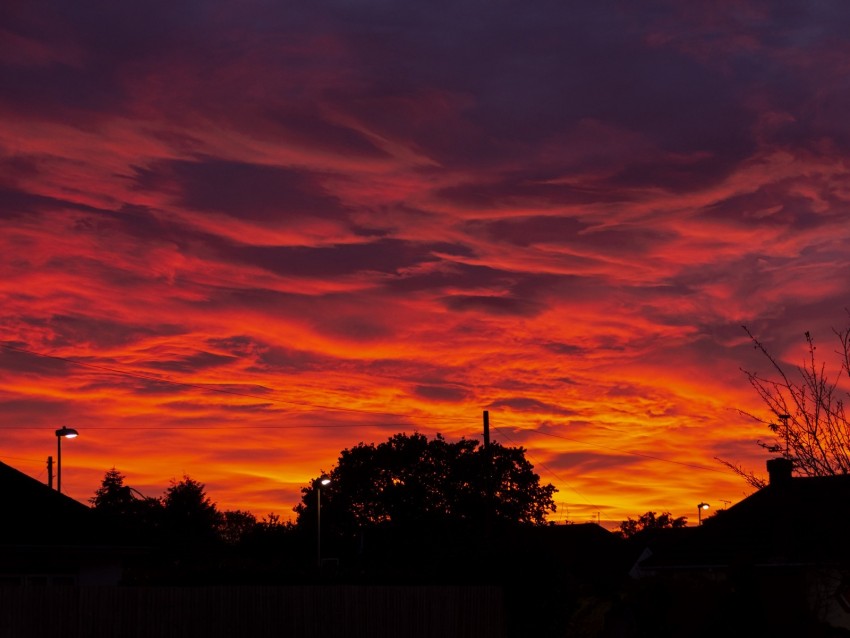 sunset, clouds, trees, fiery