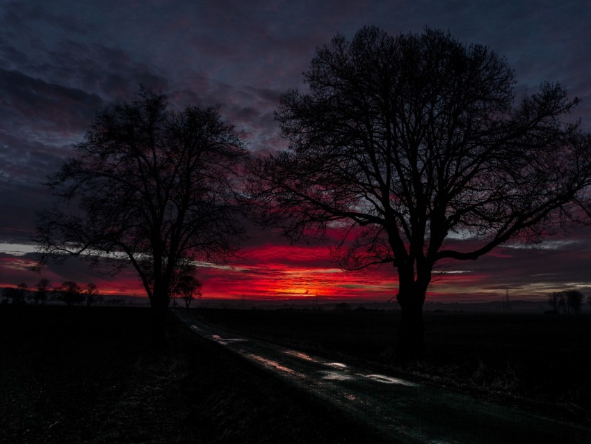 Sunset Clouds Trees Road Horizon Background