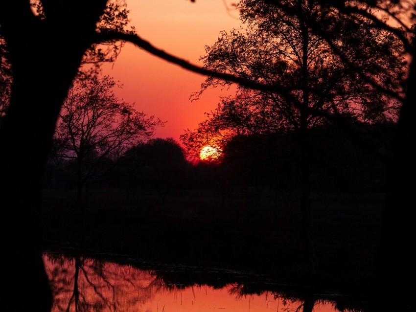 Sunset Dusk Dark Outlines Trees Water Reflection Background