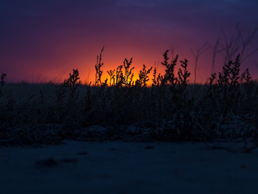 sunset, grass, horizon, twilight, dark