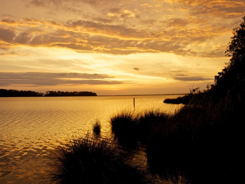 sunset, river, twilight, dark, shore