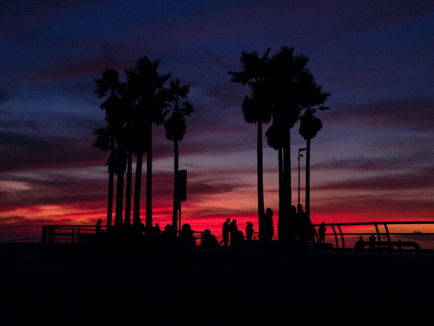 sunset, silhouettes, palm trees, people, tropics, sky