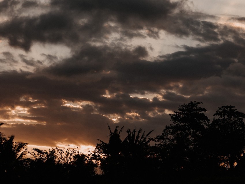 sunset, trees, clouds, twilight, dark