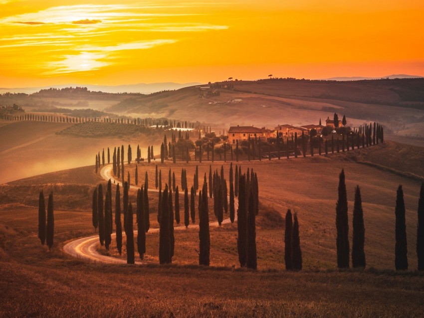 Sunset Trees Road Grass Horizon Background