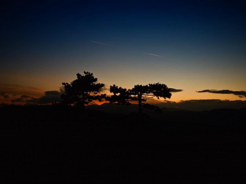 sunset, trees, sky, horizon, dark, clouds