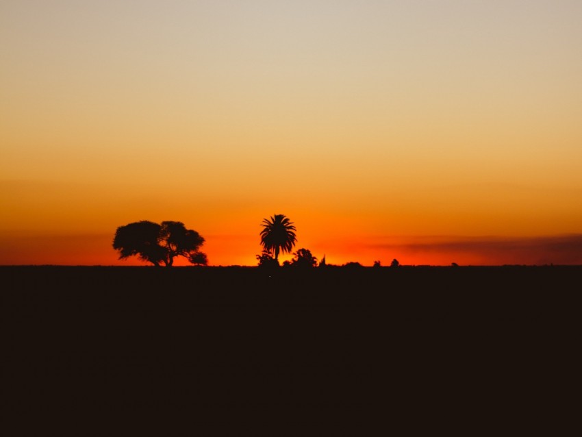 sunset, twilight, dark, trees, horizon