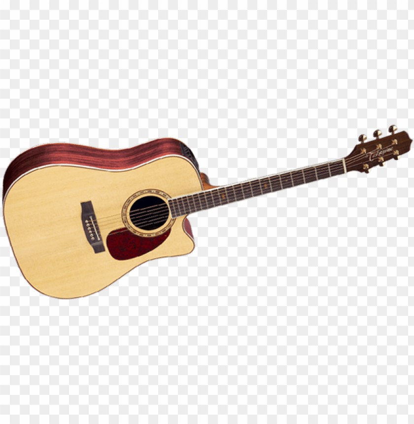 takamine