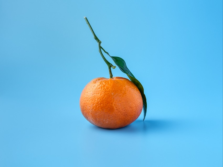 Tangerine Fruit Citrus Orange Blue Background