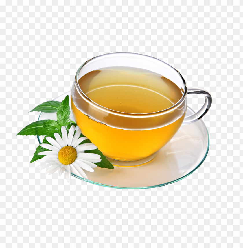 herbal tea, glass cup, daisy flower, green leaves, beverage, refreshing drink, hot tea