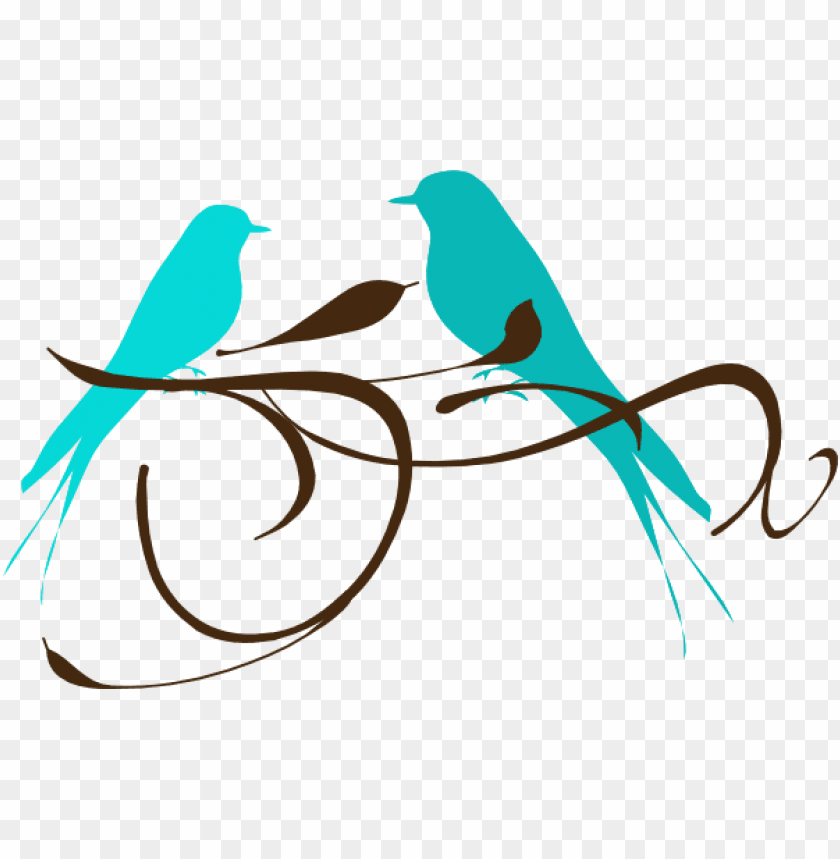 tumblr transparent love, family love, love, birds flying, angry birds, flock of birds