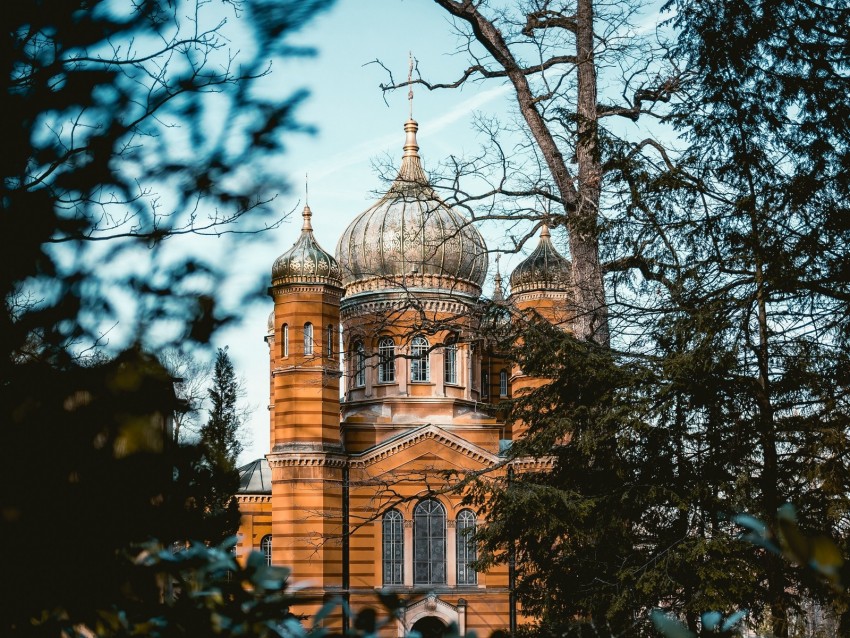 temple, branches, architecture, sky