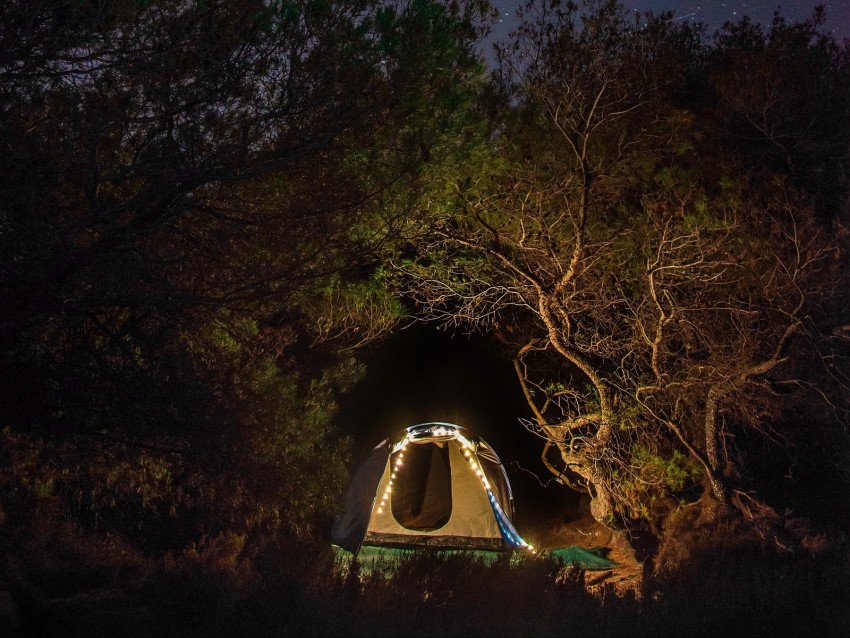 tent, camping, night, trees, starry sky