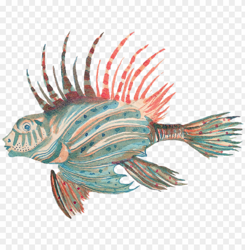 Terois - Lionfish PNG Transparent Background