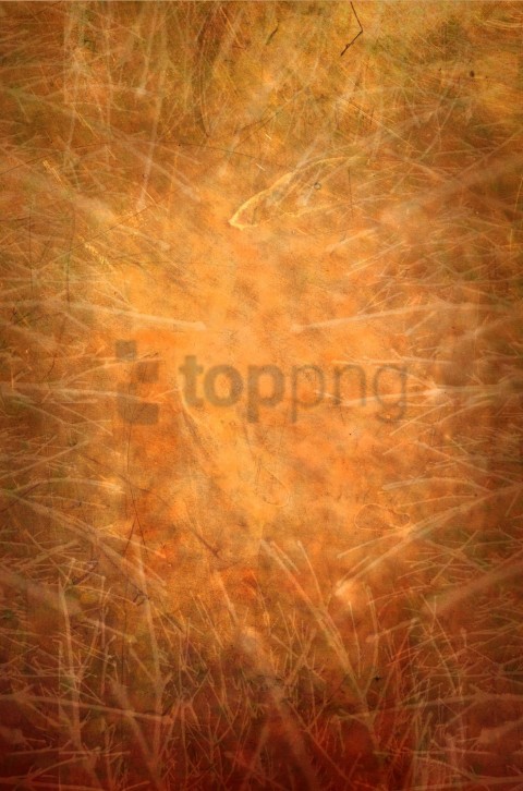 nature, earthy tones, organic textures, natural background, abstract patterns, grass texture, warm colors