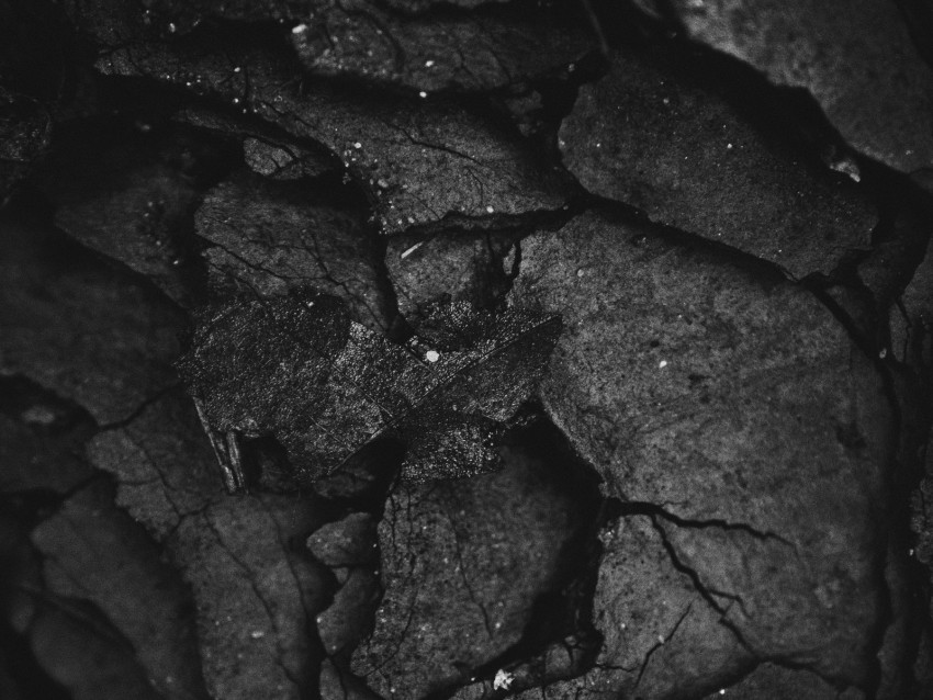 texture, surface, dark, leaves