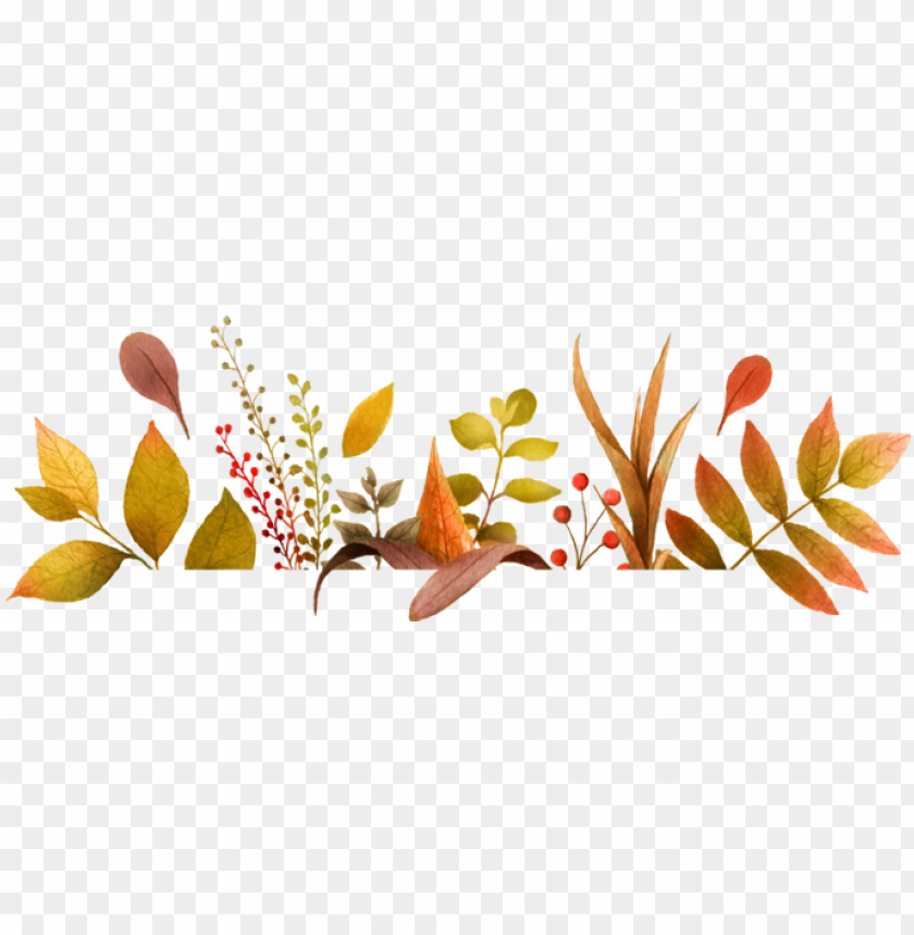 thanksgiving border, christmas lights border, circle border, rose border, wave border, cute border