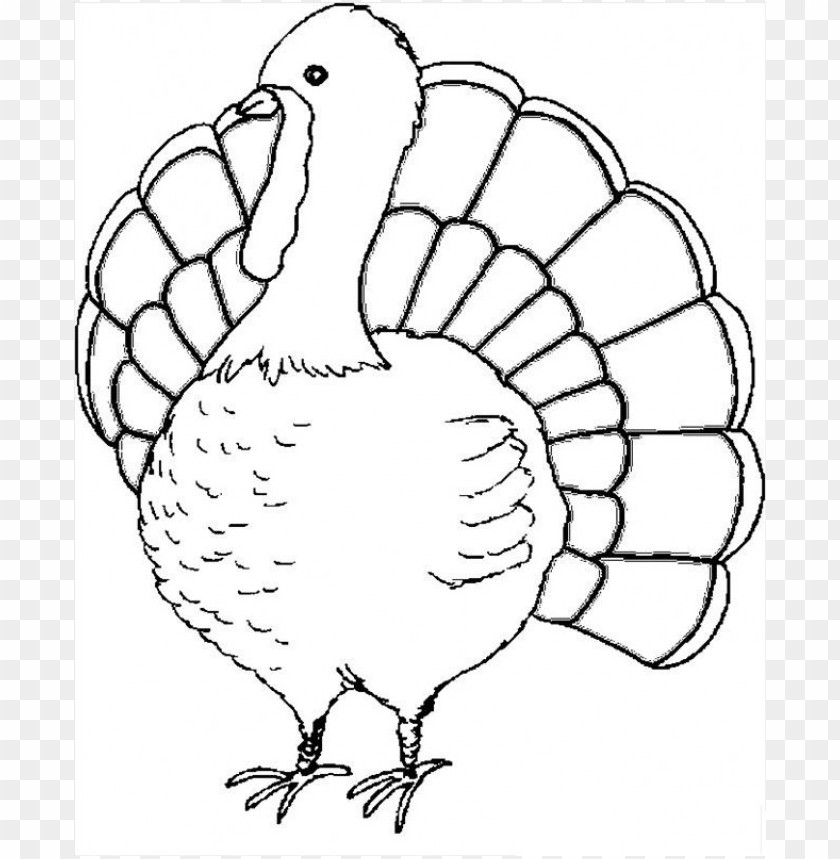 thanksgiving coloring pages color, thanksgiving,pages,color,coloringpages,coloring,coloringpage