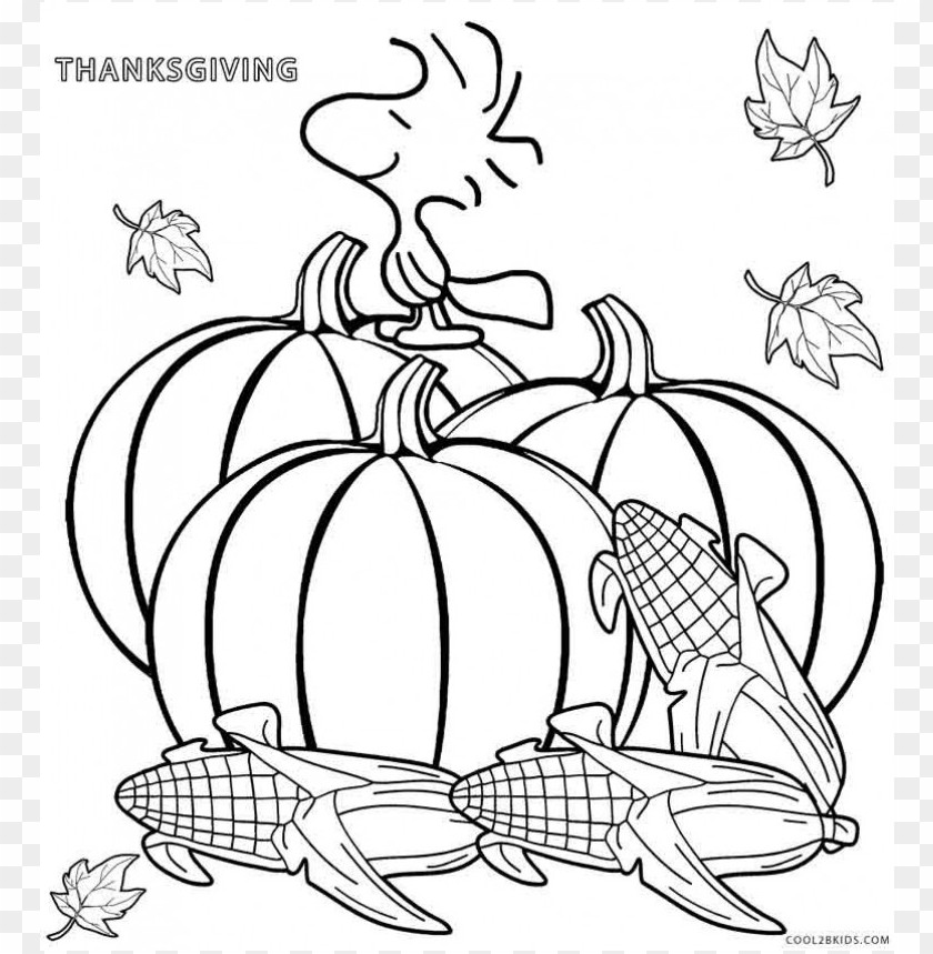 thanksgiving coloring pages color, thanksgiving,pages,color,coloringpages,coloring,coloringpage