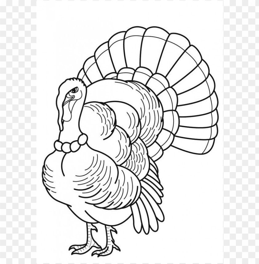 thanksgiving coloring pages color, thanksgiving,pages,color,coloringpages,coloring,coloringpage