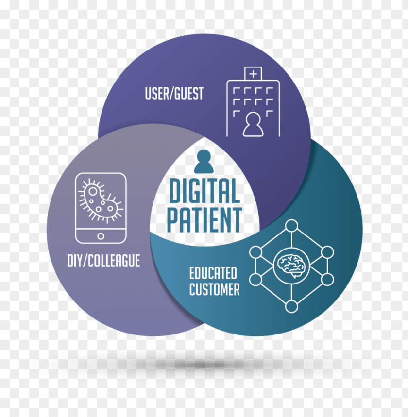 nature, logo, infographics, circle frame, diagram, circles, flow chart