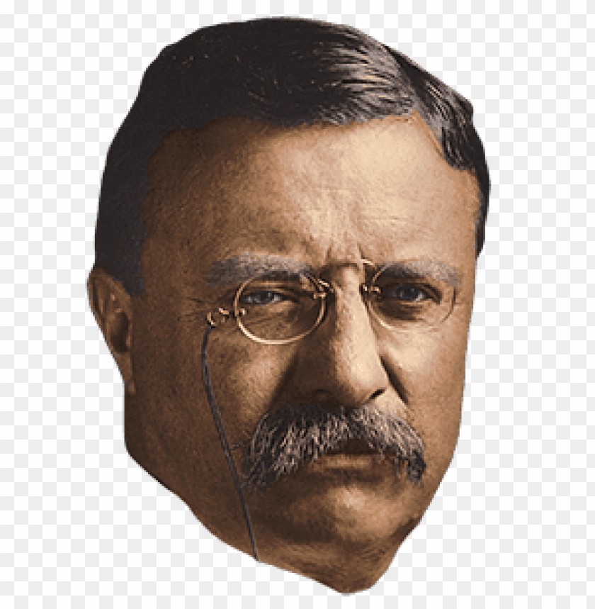 people, history, usa, theodore roosevelt, 