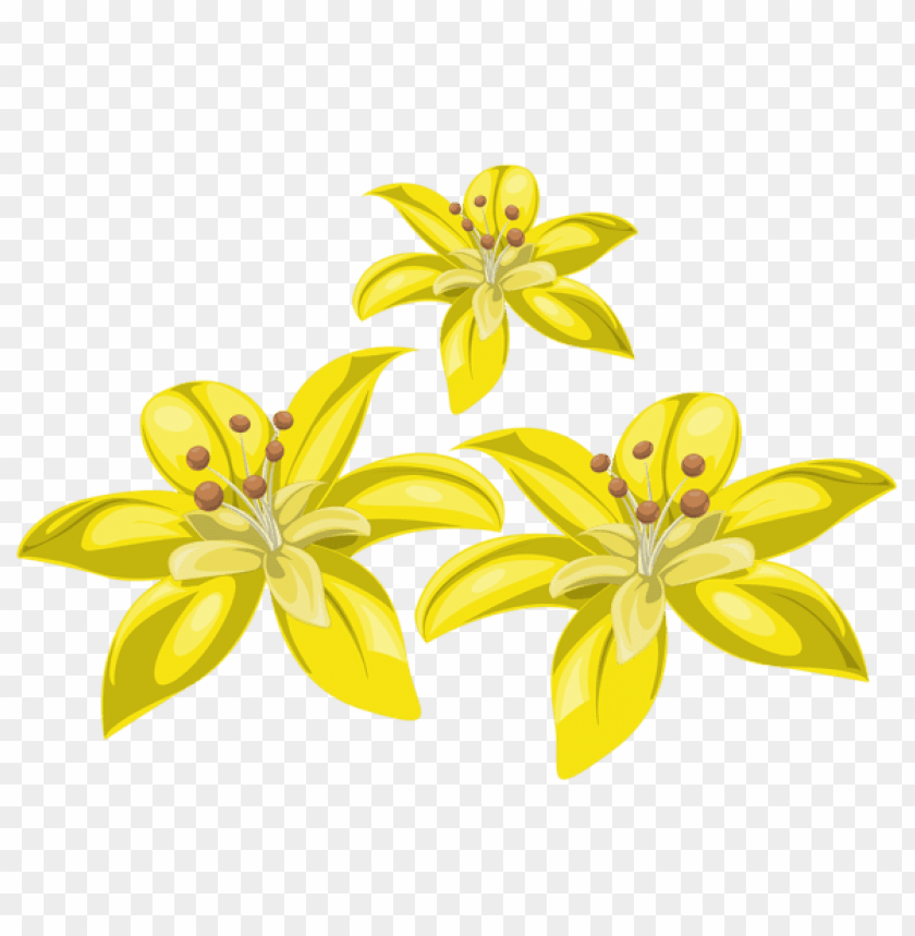 three yellow flowers