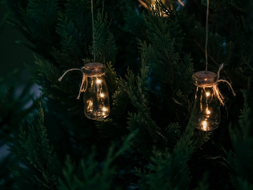 thuja, garland, light bulb, decoration