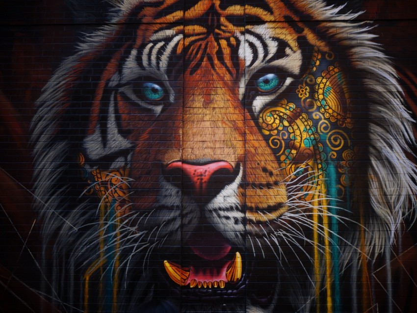 Tiger Graffiti Street Art Wall Colorful Background