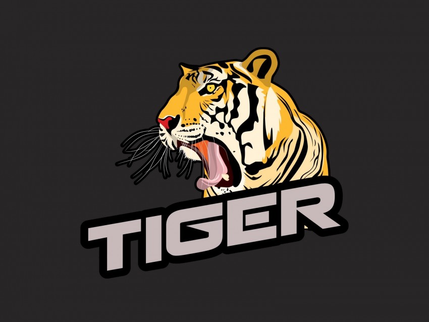 tiger, grin, inscription, vector