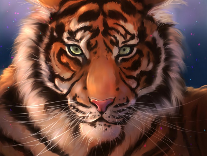 Tiger Muzzle Art Predator Striped Background