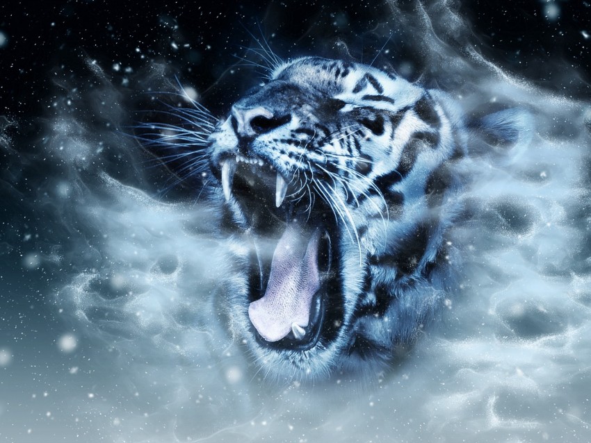 Tiger Predator Grin Muzzle Photoshop Background