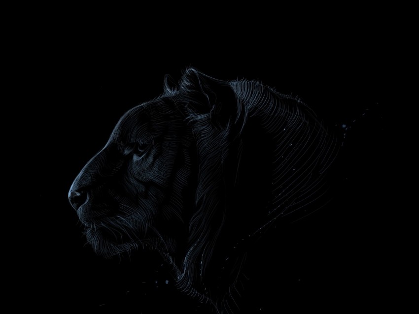 Tiger Profile Art Dark Predator Background