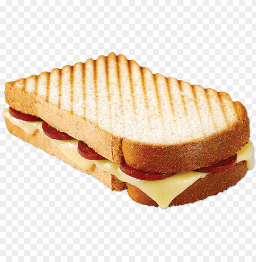 sandwich, grilled cheese, deli meat, panini, Italian