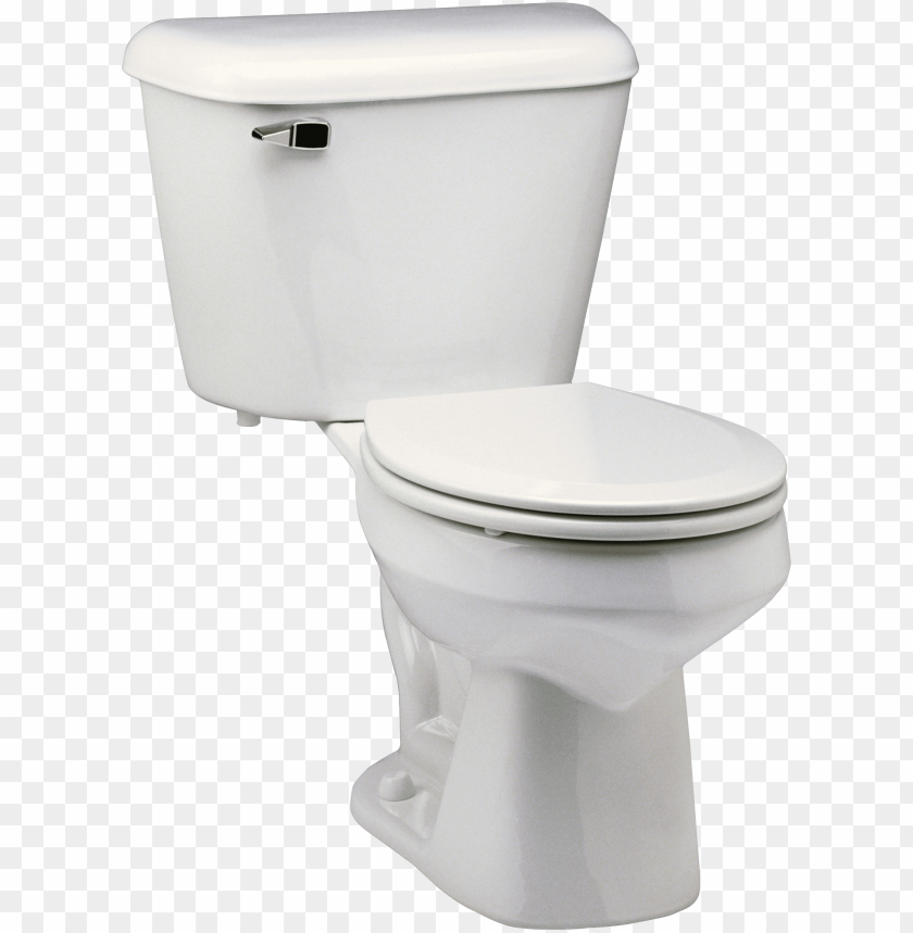 toilets, bathroom fixtures, toilet installation, toilet maintenance, toilet designs