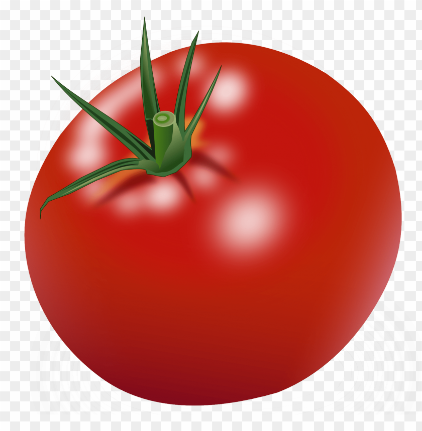 Fresh red tomato with green leaves on a transparent background.