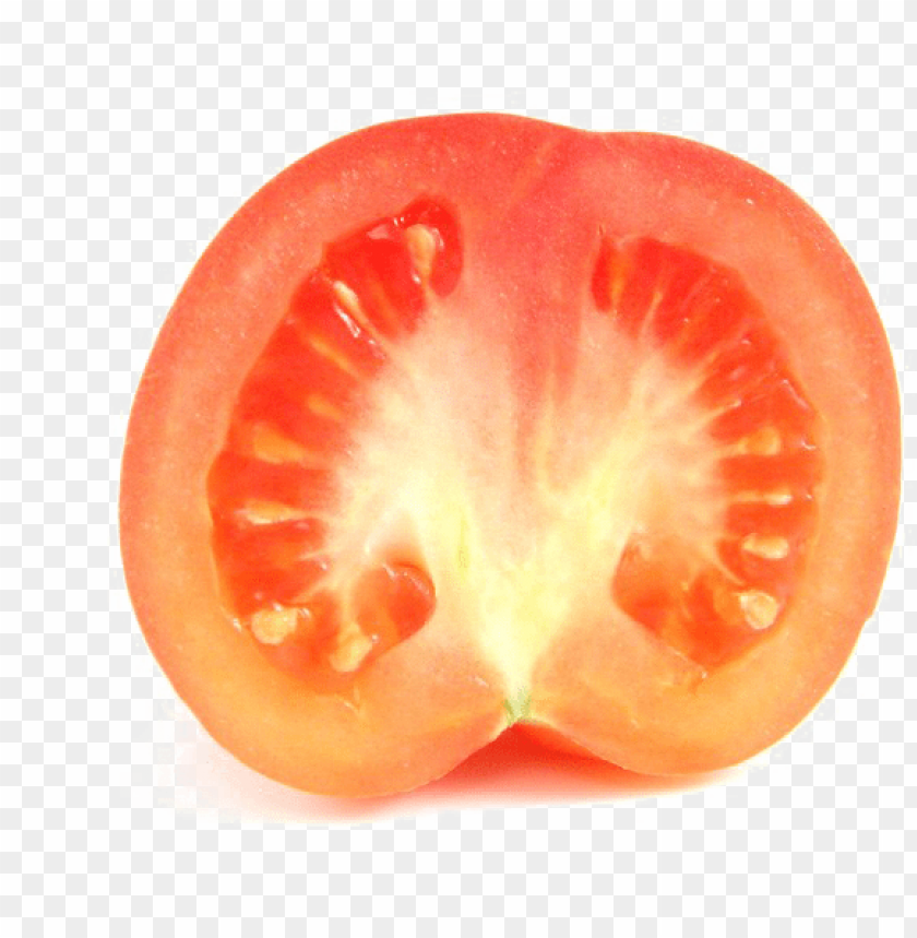 tomato plant, tomato, tomato slice